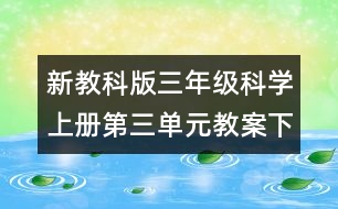 新教科版三年級(jí)科學(xué)上冊(cè)第三單元教案下