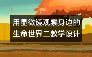 用顯微鏡觀察身邊的生命世界（二）教學設計—新教科版六年級下冊科學教案