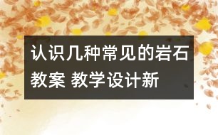 認識幾種常見的巖石教案 教學(xué)設(shè)計—新教科版四年級下冊科學(xué)教案