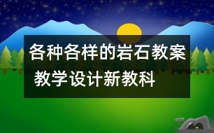 各種各樣的巖石教案 教學設計—新教科版四年級下冊科學教案