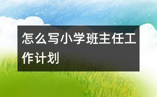 怎么寫小學(xué)班主任工作計劃