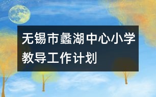 無錫市蠡湖中心小學(xué)教導(dǎo)工作計劃