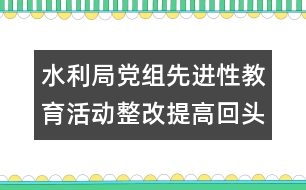 水利局黨組先進性教育活動整改提高回頭看自查報告