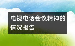 電視電話會議精神的情況報告