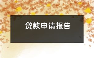 貸款申請報告