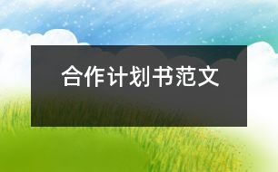 合作計劃書范文