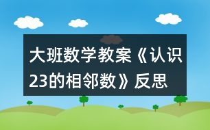 大班數(shù)學(xué)教案《認(rèn)識2、3的相鄰數(shù)》反思