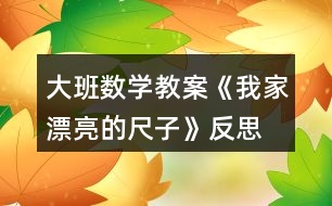大班數學教案《我家漂亮的尺子》反思