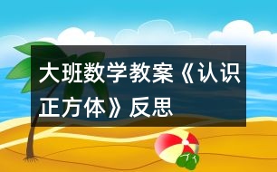 大班數(shù)學(xué)教案《認(rèn)識(shí)正方體》反思