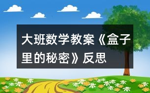 大班數(shù)學(xué)教案《盒子里的秘密》反思