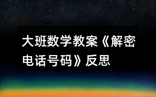 大班數學教案《解密電話號碼》反思