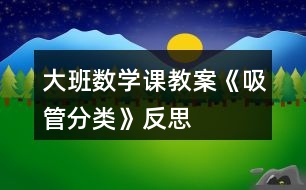 大班數(shù)學(xué)課教案《吸管分類》反思