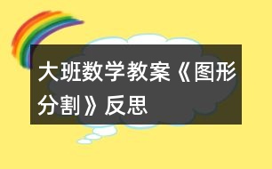 大班數(shù)學(xué)教案《圖形分割》反思