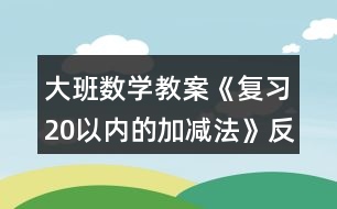 大班數(shù)學(xué)教案《復(fù)習(xí)20以內(nèi)的加減法》反思