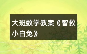 大班數學教案《智救小白兔》