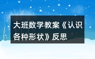 大班數(shù)學(xué)教案《認(rèn)識(shí)各種形狀》反思