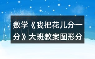 數(shù)學(xué)《我把花兒分一分》大班教案圖形分類和二次分類反思