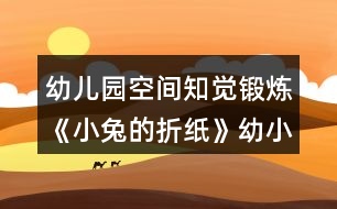 幼兒園空間知覺(jué)鍛煉《小兔的折紙》幼小銜接數(shù)學(xué)教案