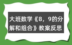 大班數(shù)學(xué)《8，9的分解和組合》教案反思