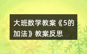 大班數(shù)學(xué)教案《5的加法》教案反思