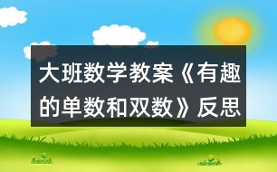 大班數學教案《有趣的單數和雙數》反思