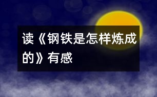 讀《鋼鐵是怎樣煉成的》有感