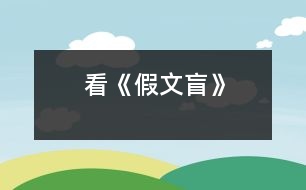 看《假文盲》