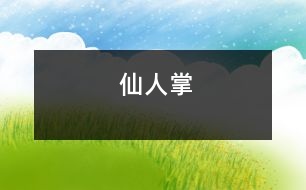 仙人掌