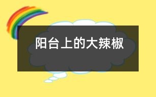 陽(yáng)臺(tái)上的大辣椒