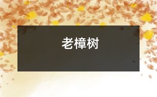 老樟樹(shù)