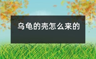 烏龜?shù)臍ぴ趺磥淼?></p>										
													 烏龜?shù)臍ぴ趺磥淼?/p>           江蘇省南京 力學小學一（四）班 李盛楠</p>          </p>                  從前，地球上只有一只烏龜，它沒有殼。<br>    有一天，它遇見了一只老虎，老虎想吃掉烏龜，烏龜?shù)纛^就跑，可是已經(jīng)晚了。老虎追上來剛要抓住它，烏龜急忙躲進一個殼里，老虎抓住那個殼，咬也咬不動，老虎只能垂頭喪氣地走了。可是，烏龜想出來也出不來了，過了很久，烏龜?shù)臍ぷ冃瘟?。后來，它生的孩子也成這模樣了。<br>    從此以后，烏龜有了一個保護殼。						</div>
						</div>
					</div>
					<div   id=