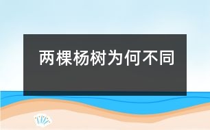 兩棵楊樹為何不同