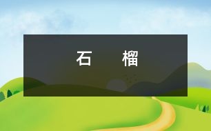 石      榴