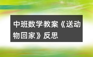 中班數(shù)學(xué)教案《送動(dòng)物回家》反思