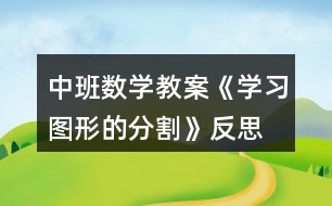 中班數(shù)學教案《學習圖形的分割》反思