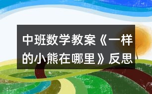 中班數(shù)學(xué)教案《一樣的小熊在哪里》反思