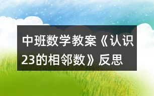 中班數(shù)學(xué)教案《認(rèn)識2、3的相鄰數(shù)》反思