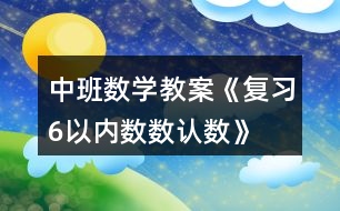 中班數(shù)學教案《復習6以內數(shù)數(shù)、認數(shù)》反思