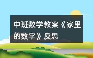 中班數(shù)學(xué)教案《家里的數(shù)字》反思