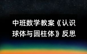 中班數(shù)學教案《認識球體與圓柱體》反思