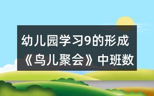 幼兒園學習9的形成《鳥兒聚會》中班數(shù)學教案反思