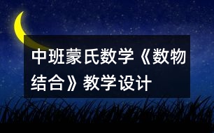 中班蒙氏數(shù)學(xué)《數(shù)物結(jié)合》教學(xué)設(shè)計(jì)