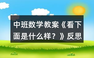 中班數(shù)學(xué)教案《看下面是什么樣？》反思