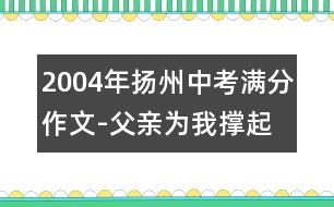 2004年揚(yáng)州中考滿分作文-父親為我撐起一片藍(lán)天