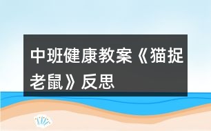 中班健康教案《貓捉老鼠》反思