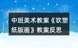 中班美術(shù)教案《吹塑紙版畫》教案反思