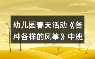 幼兒園春天活動《各種各樣的風(fēng)箏》中班美術(shù)教案反思