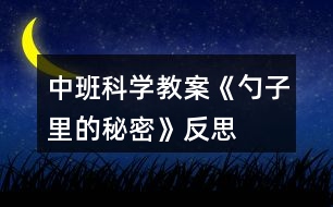 中班科學教案《勺子里的秘密》反思