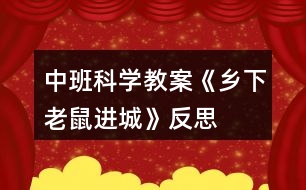 中班科學教案《鄉(xiāng)下老鼠進城》反思