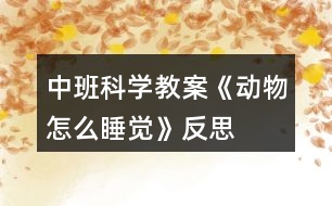 中班科學教案《動物怎么睡覺》反思